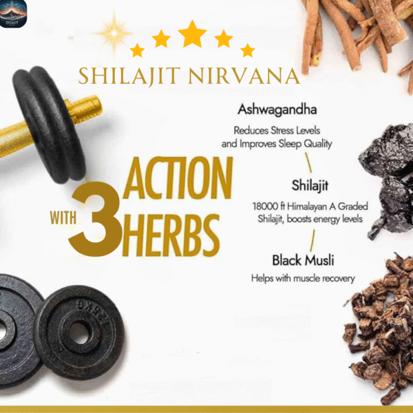 Pure Himalayan Shilajit Resin with Ashwagandha & Black Musli – 30g with Free Spoon